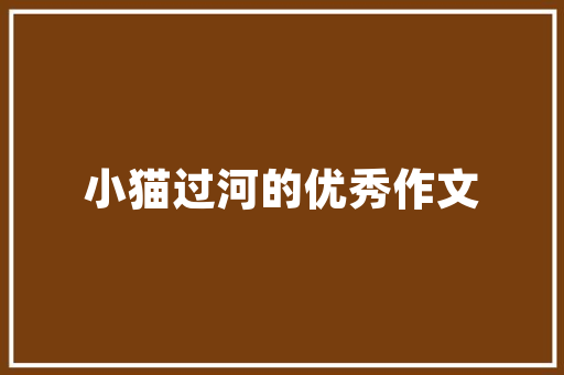 家居装修必备指南,如何选择合适的沙发材料