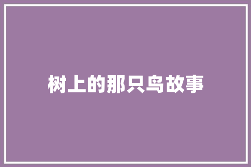 详细分析凯里装修报价,介绍装修成本构成与优化步骤