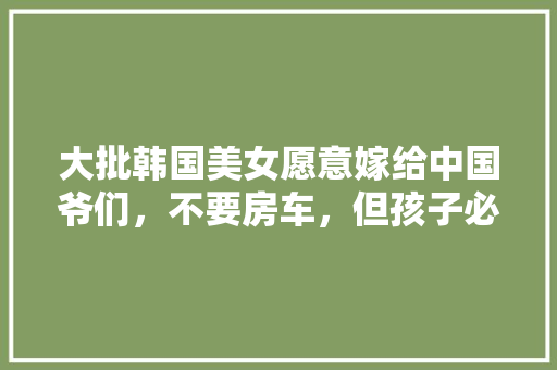 4平长条空间巧装修,空间利用的艺术与智慧