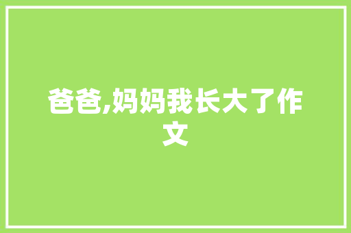 云冈区装修预算分析,合理规划，打造理想家园