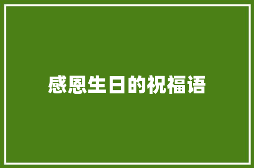 长方形老板办公室设计布局,打造高效与舒适的办公空间_长方形老板办公室设计布局