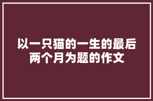 商务酒店装修费用分析,投资与回报的平衡艺术