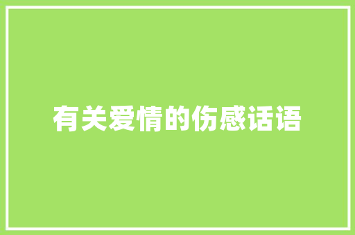 国际青年旅行社焕新装修，打造旅游行业新标杆