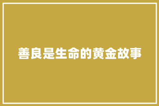 梅州三角镇老房改造,古村落焕新颜，传承与发展的完美融合