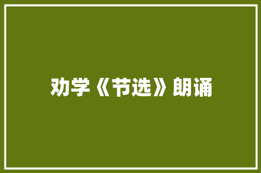 壁纸脏了怎么办专业清洁与保养攻略