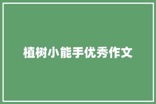 墙改窗户，空间焕新之美_探索现代家居装修新风尚